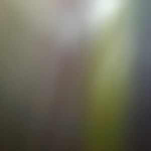 Meet your Posher, Jack